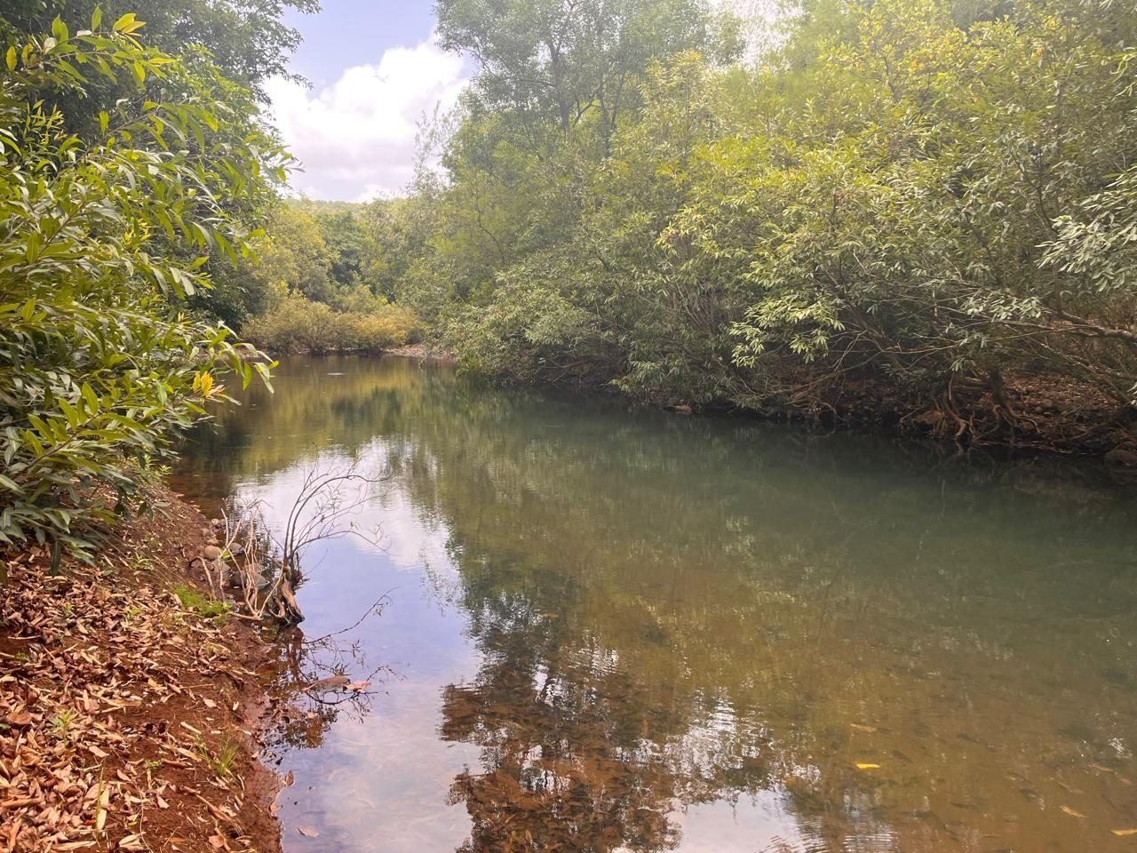 A quiet river near the camp grounds